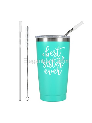 Best Sister Ever Stainless Tumbler with Lid and Vacuum Insulated Double Wall Travel Coffee Tumbler